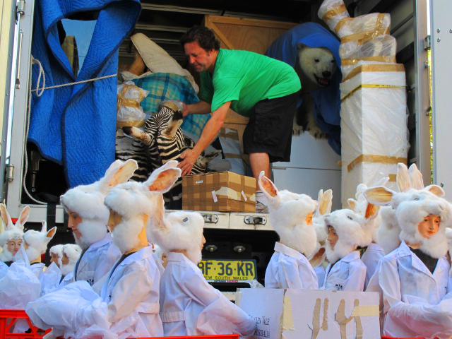 Sean with bunnies